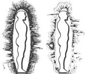 Иллюстрация к книге — Жизнь на грани взлета, или Как перестать пережевывать и начать жить [i_005.jpg]