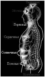 Иллюстрация к книге — Жизнь на грани взлета, или Как перестать пережевывать и начать жить [i_006.jpg]