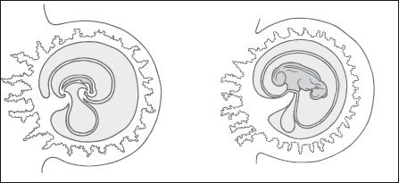 Иллюстрация к книге — Главная российская книга мамы. Беременность. Роды. Первые годы [i_060.jpg]