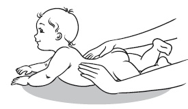 Иллюстрация к книге — Главная российская книга мамы. Беременность. Роды. Первые годы [i_201.jpg]