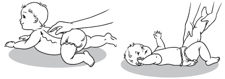 Иллюстрация к книге — Главная российская книга мамы. Беременность. Роды. Первые годы [i_203.jpg]