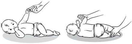 Иллюстрация к книге — Главная российская книга мамы. Беременность. Роды. Первые годы [i_222.jpg]