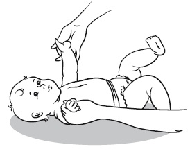 Иллюстрация к книге — Главная российская книга мамы. Беременность. Роды. Первые годы [i_226.jpg]