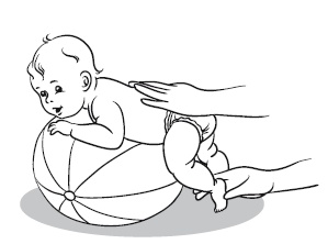 Иллюстрация к книге — Главная российская книга мамы. Беременность. Роды. Первые годы [i_227.jpg]