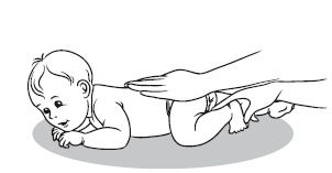 Иллюстрация к книге — Главная российская книга мамы. Беременность. Роды. Первые годы [i_238.jpg]