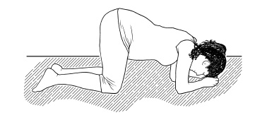 Иллюстрация к книге — Беременность и роды в вопросах и ответах [Autogen_eBook_id8.jpg]