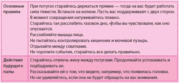 Иллюстрация к книге — Беременность и роды - обыкновенное чудо. Первая книга будущей мамы [Autogen_eBook_id113.jpg]