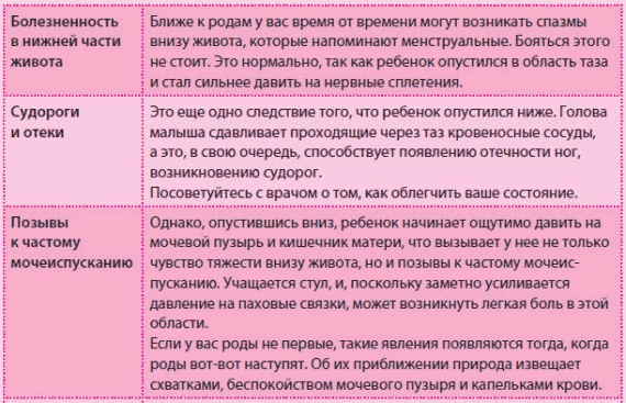 Иллюстрация к книге — Беременность и роды - обыкновенное чудо. Первая книга будущей мамы [Autogen_eBook_id91.jpg]