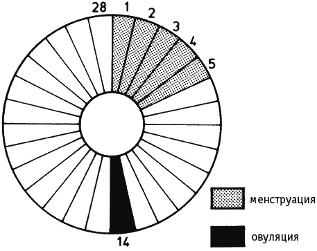 Иллюстрация к книге — Как говорить с сыном. Самые сложные вопросы [_214.jpg]