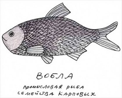 Иллюстрация к книге — Истории про еду с рисунками и рецептами автора [i_056.jpg]