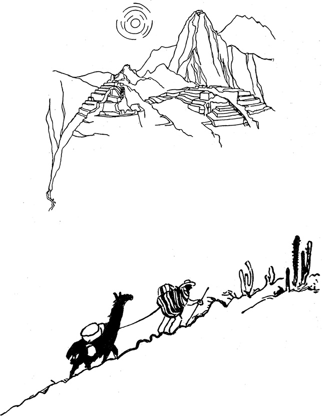 Иллюстрация к книге — Кон-Тики [i_004.jpg]