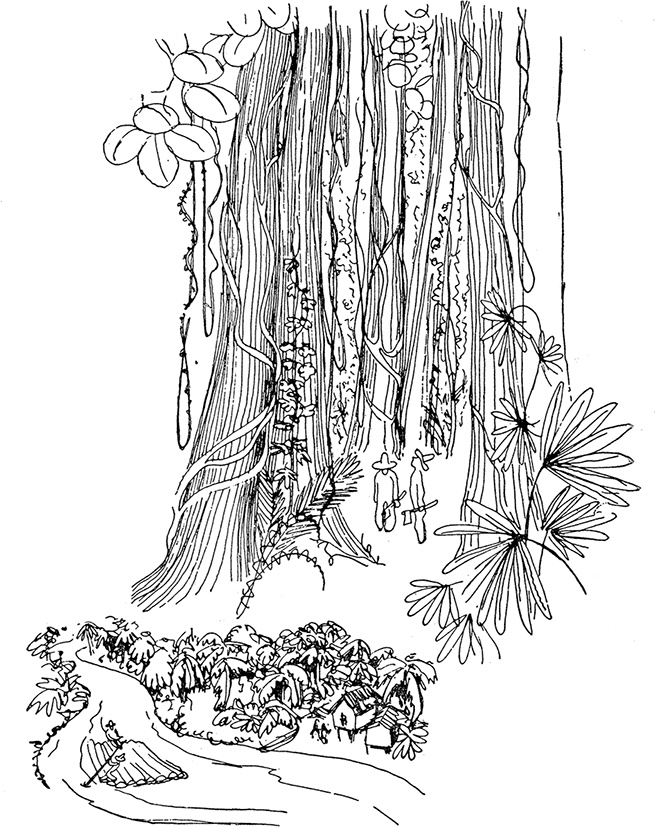 Иллюстрация к книге — Кон-Тики [i_007.jpg]