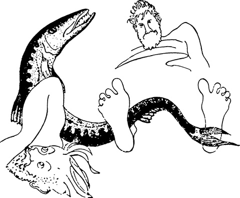 Иллюстрация к книге — Кон-Тики [i_021.jpg]