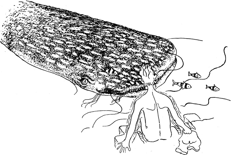 Иллюстрация к книге — Кон-Тики [i_022.jpg]