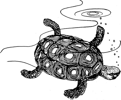 Иллюстрация к книге — Кон-Тики [i_024.jpg]