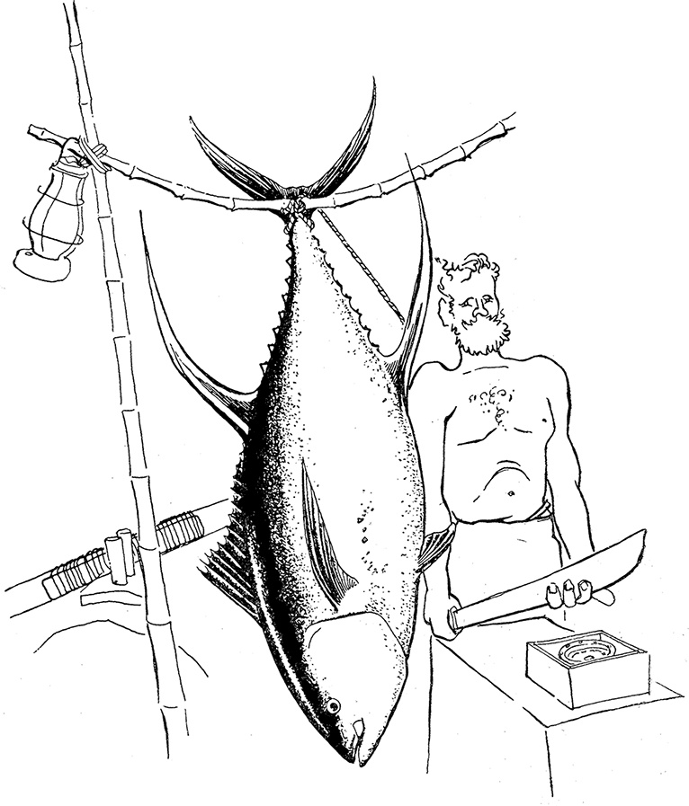 Иллюстрация к книге — Кон-Тики [i_031.jpg]