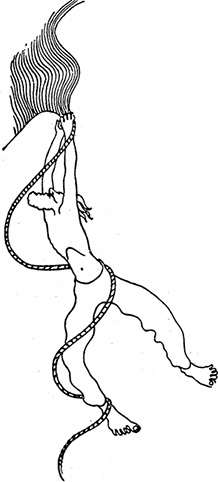 Иллюстрация к книге — Кон-Тики [i_037.jpg]