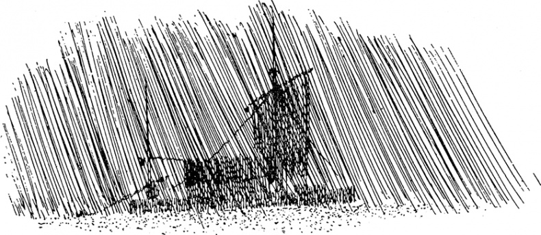 Иллюстрация к книге — Кон-Тики [i_038.jpg]