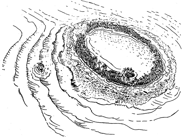 Иллюстрация к книге — Кон-Тики [i_042.jpg]