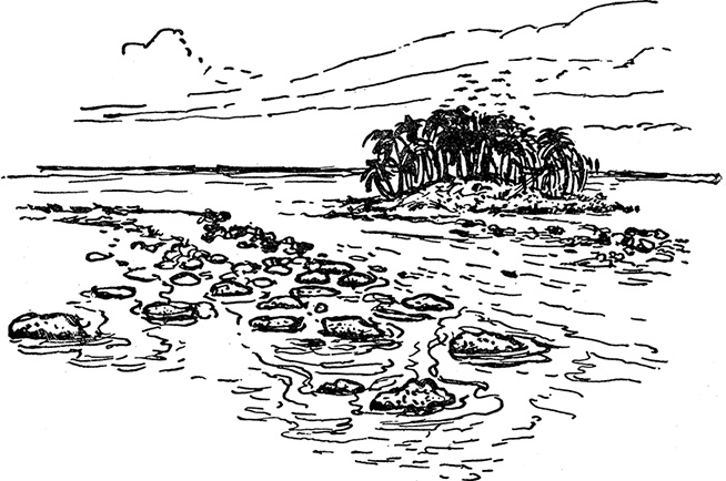 Иллюстрация к книге — Кон-Тики [i_045.jpg]