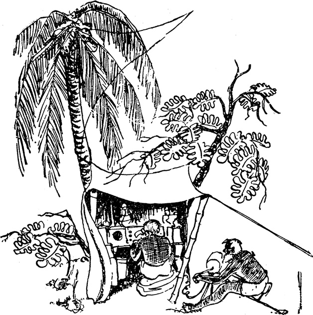 Иллюстрация к книге — Кон-Тики [i_046.jpg]