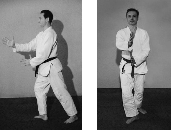 Иллюстрация к книге — Как управлять репутацией и сценариями своей жизни. Бренд-коучинг и психоэнергетика лидера [pic_2.jpg]