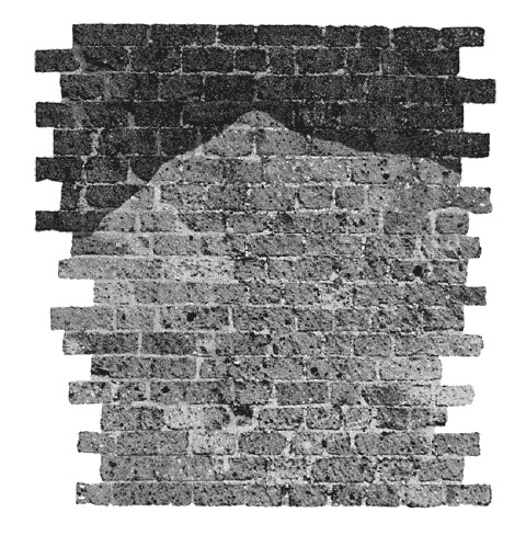 Иллюстрация к книге — Гнездо гадюки. Код императора [_451.jpg]