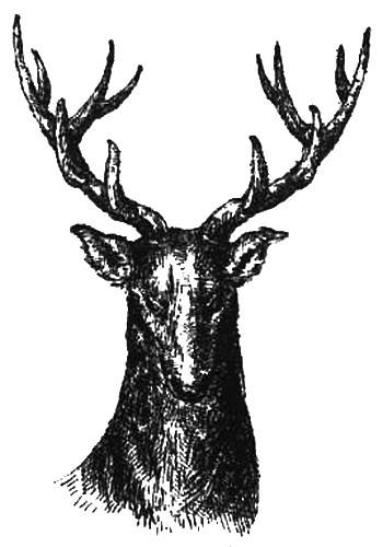 Иллюстрация к книге — Маскарад [i_010.jpg]