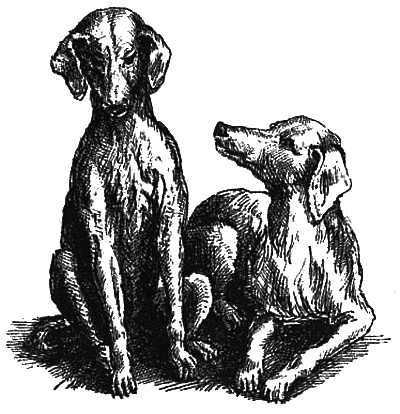 Иллюстрация к книге — Маскарад [i_022.jpg]