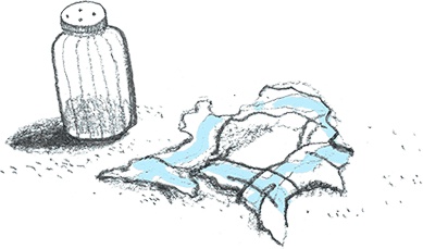 Иллюстрация к книге — Рассказы про Франца и болезни [i_004.jpg]