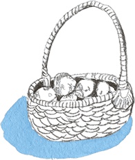 Иллюстрация к книге — Рассказы про Франца и любовь [i_004.jpg]