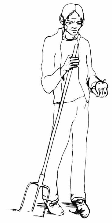 Иллюстрация к книге — Лети, майский жук! [i_021.jpg]