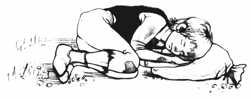 Иллюстрация к книге — Лети, майский жук! [i_047.jpg]