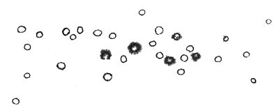 Иллюстрация к книге — Само собой и вообще [i_049.jpg]