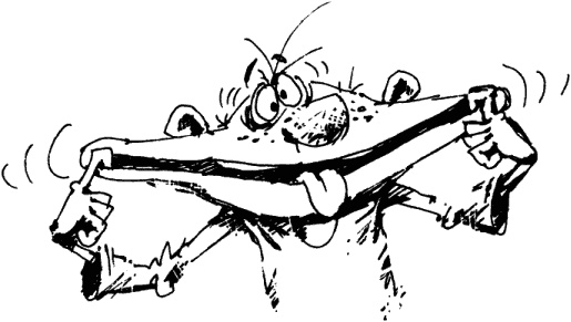 Иллюстрация к книге — Антикризисный опыт дурака [_058_1.jpg]