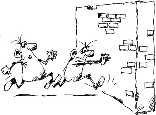 Иллюстрация к книге — Антикризисный опыт дурака [_107_1.jpg]