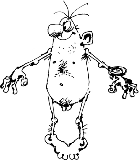 Иллюстрация к книге — Антикризисный опыт дурака [_151_2.jpg]