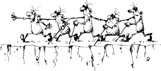 Иллюстрация к книге — Антикризисный опыт дурака [_212_1.jpg]