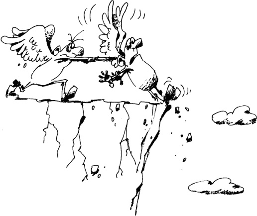 Иллюстрация к книге — Антикризисный опыт дурака [_257_1.jpg]