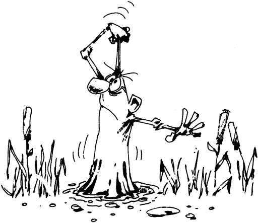 Иллюстрация к книге — Антикризисный опыт дурака [_282_1.jpg]