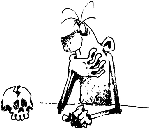 Иллюстрация к книге — Антикризисный опыт дурака [_306_1.jpg]