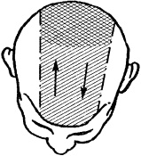 Иллюстрация к книге — Победи болезни силой духа. Практические приемы самооздоровления и омоложения [_11.jpg]