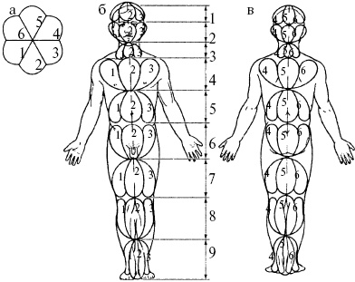 Иллюстрация к книге — Победи болезни силой духа. Практические приемы самооздоровления и омоложения [_20.jpg]