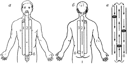 Иллюстрация к книге — Победи болезни силой духа. Практические приемы самооздоровления и омоложения [_21.jpg]