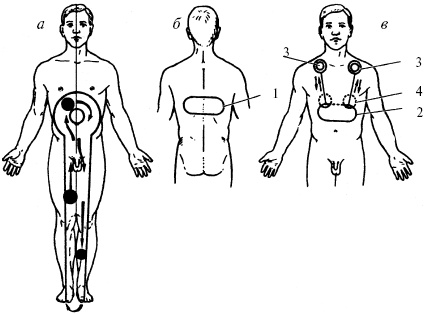 Иллюстрация к книге — Победи болезни силой духа. Практические приемы самооздоровления и омоложения [_29.jpg]