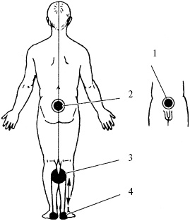 Иллюстрация к книге — Победи болезни силой духа. Практические приемы самооздоровления и омоложения [_31.jpg]