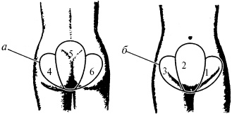 Иллюстрация к книге — Победи болезни силой духа. Практические приемы самооздоровления и омоложения [_32.jpg]