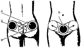 Иллюстрация к книге — Победи болезни силой духа. Практические приемы самооздоровления и омоложения [_34.jpg]