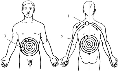 Иллюстрация к книге — Победи болезни силой духа. Практические приемы самооздоровления и омоложения [_37.jpg]