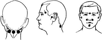 Иллюстрация к книге — Победи болезни силой духа. Практические приемы самооздоровления и омоложения [_5.jpg]